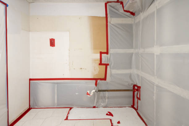 Best Mold Documentation for Insurance Claims  in , MT