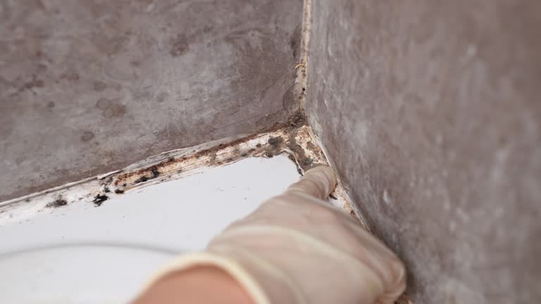 Best Comprehensive Air Testing for Mold Contaminants  in , MT